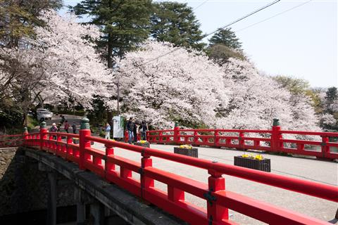 高岡古城公園　写真提供：(公社)とやま観光推進機構